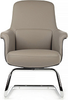 Кресло посетителя RivaChair Verdi SF D655
